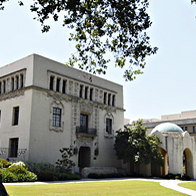 7-dabney